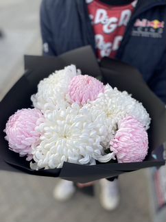 5 хризантем 11 Хризанетм Букет Хризантемы