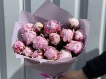 Метровые розы, букеты, цветы, Розы 51 101 501 1001