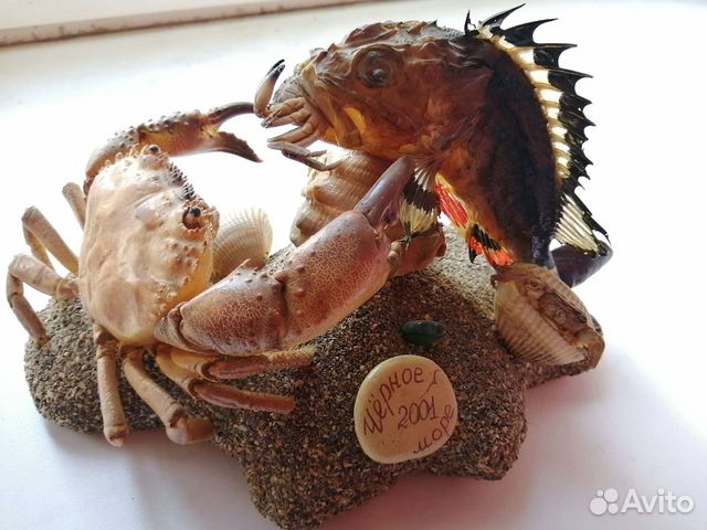 Композиция 