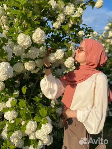 Обучение Корану/Таджвид/Основы Ислама