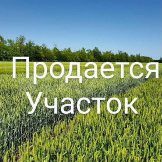 Участок 10 сот. (СНТ, ДНП)