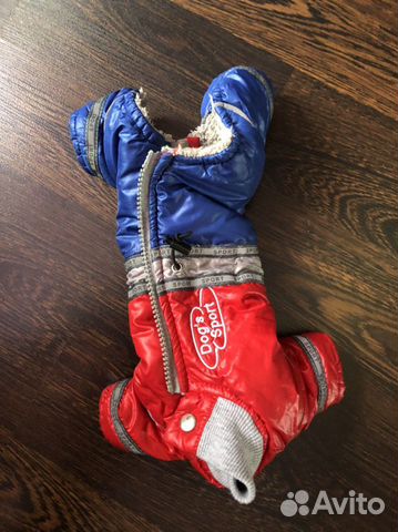 Одежда для собак