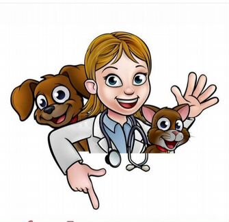 Ветеринарный врач на дом