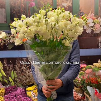 Букет Эустома