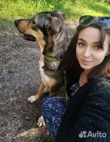 Выгул собак Няня для животных