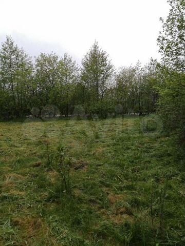 Участок 4,5 сот. (СНТ, ДНП)