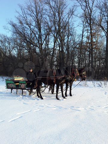 Участок 15 сот. (ИЖС)