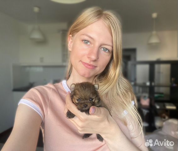 Догситтер, передержка и выгул собак