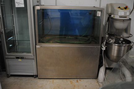 Аквариум для рыб