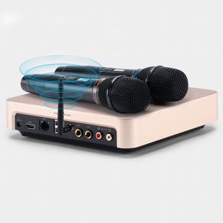 Караоке-система для дома Evobox Plus с микрофонами