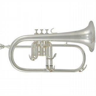Флюгельгорн Roy Benson FH-302S Bb