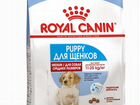 Royal Canin Medium Puppy корм для щенков 20 кг