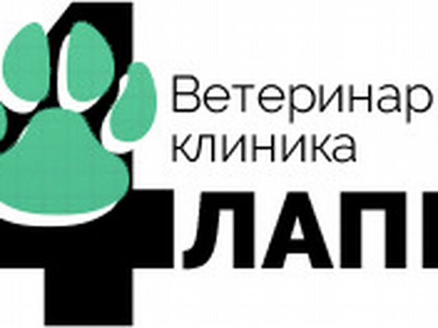 Лапка ветклиника на каскадной ростов Лапка ветклиника на каскадной ростов