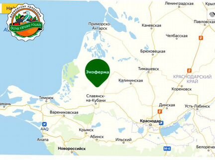 Индейка. Филе сыровяленное