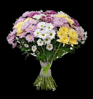 Хризантемы