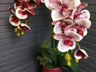 Орхидеи (латекс) имитация объявление продам