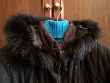 Куртка с капюшоном коричневого цвета ф. lion