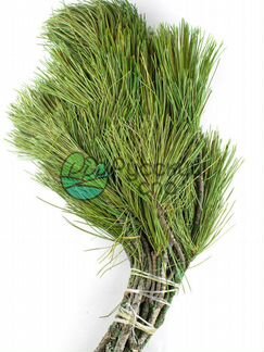 Пихтовый, Можжевеловый, Кедровый веник для бани