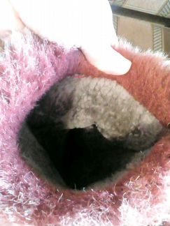 Сапоги Котофей 37,5 нат.кожа+ нат.овчина