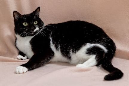 Глаша ищет дом