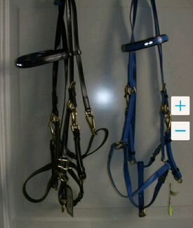 Для конных пробегов