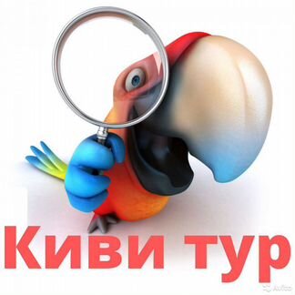 Руководитель офиса/ Ведущий менеджер по туризму