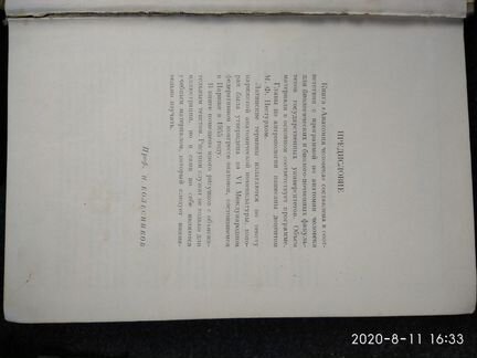 Анатомия человека