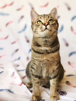 Флора в самые добрые ручки