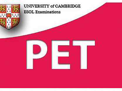 Pet cambridge. Pet Exam. Pet экзамен. Pet Cambridge Exam.