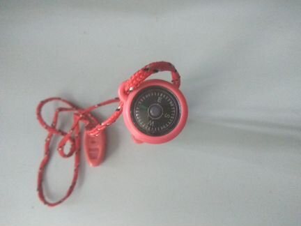 Компас, фонарик, свисток, зеркальце, магний, огнив