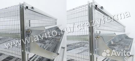 Клетка для перепелов