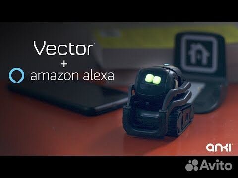 buy vector anki